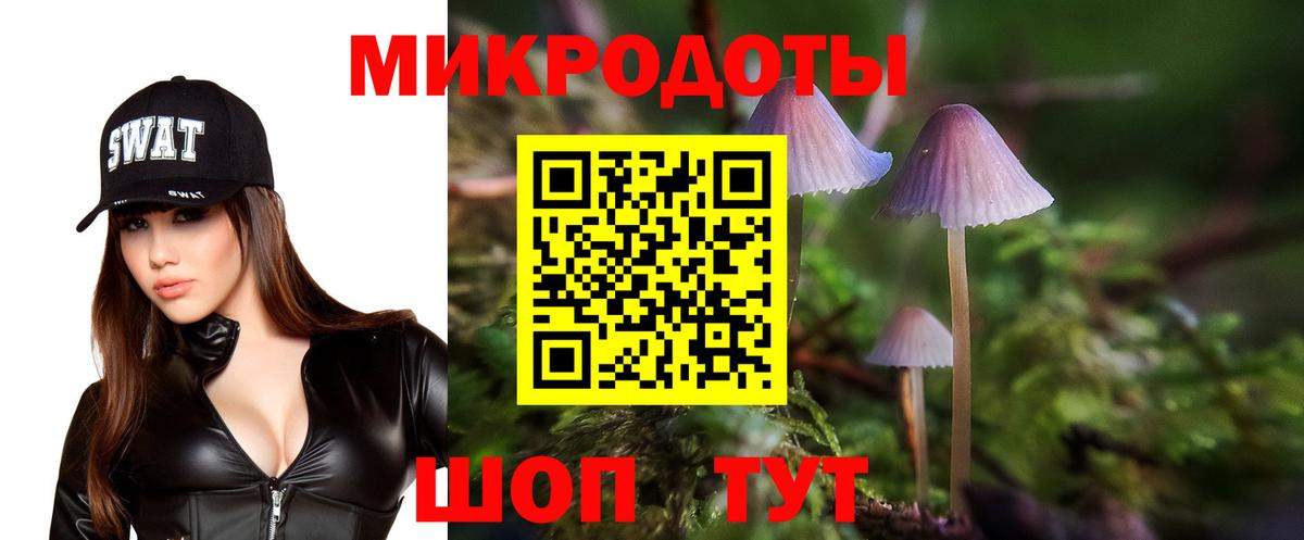 Галлюциногенные грибы мицелий  продажа наркотиков  Новоуральск  Вход с VPN  Псилоцибиновые грибы Psilocybe 